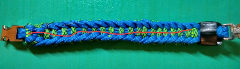 Location of Backbone