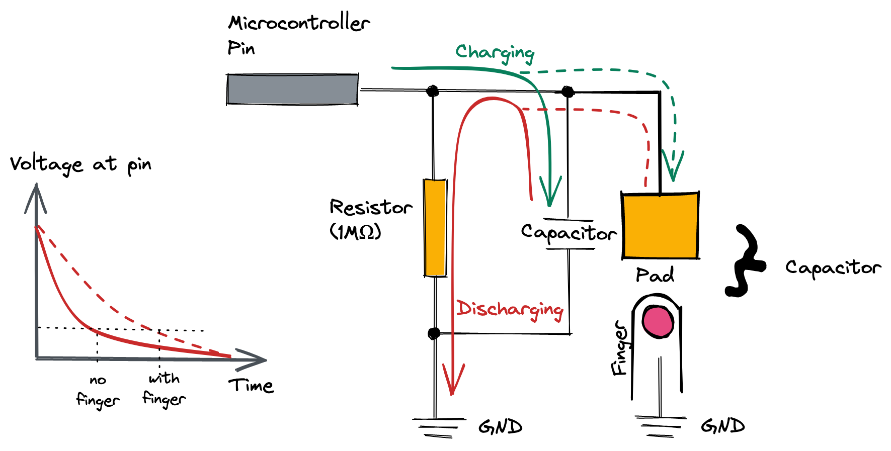 Adding the finger adds another capacitor (dotted line)